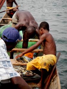 Fisherman and Their Fresh Catch
