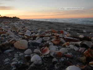 View of the shell line during sunrise