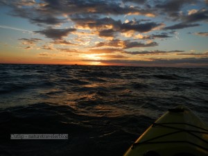 I had a difficult time taking a straight shot while being constantly jostled by the waves.