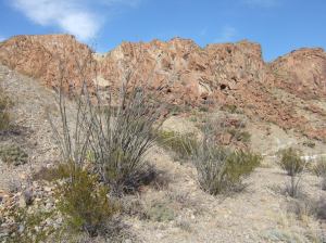 Portion of Indian Head Mountain