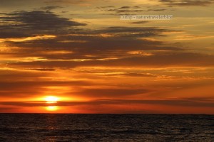 Amelia Island Sunrise