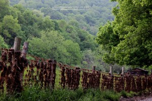 Fence near the New River that captured debris from a recent flood
