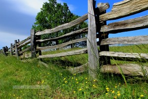 Fence along Blue Ridge Parkway