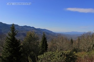 One of my first scenes from the Parkway