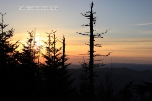 The sunset from Mount Mitchell