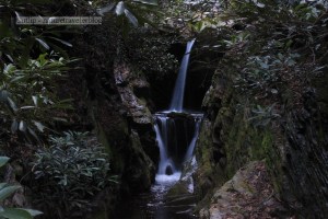 Dugger’s Creek Falls.  Dugger’s Creek is a short trail near the Linville Falls visitor center.  This tiny waterfall spilled over a ten-foot ledge and was nestled in a hollow of moss-covered rocks and rhododendrons.