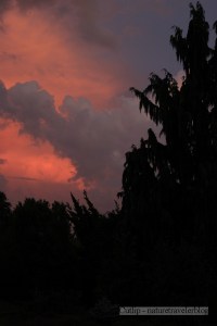 Stormy Sunset