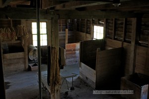 Storage bins on the 2nd floor.