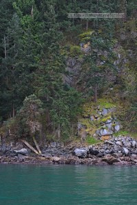 A view from Deer Harbor