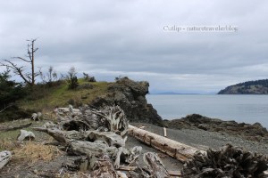A kayaking break along the west shore.